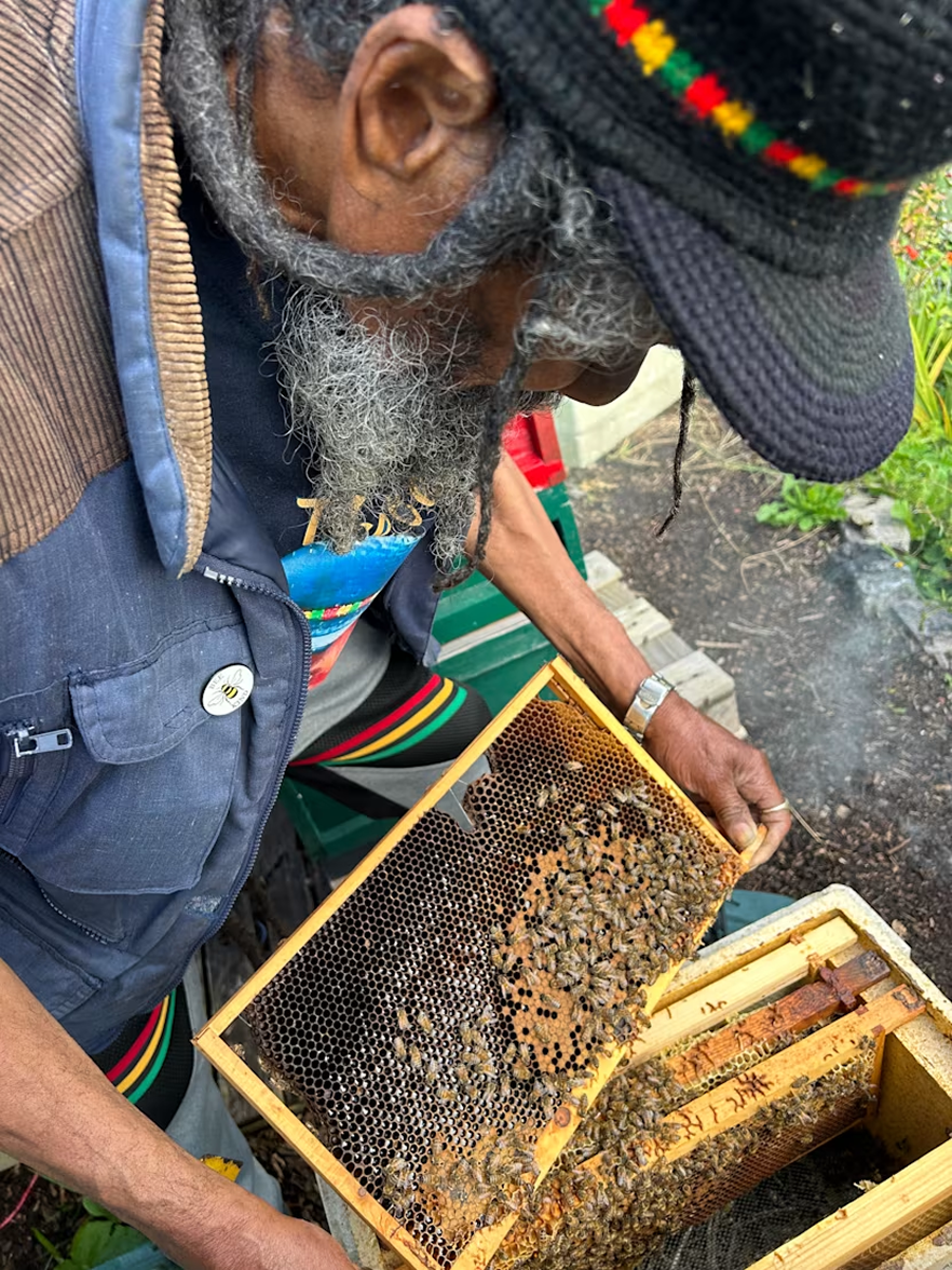 barry working with the bees